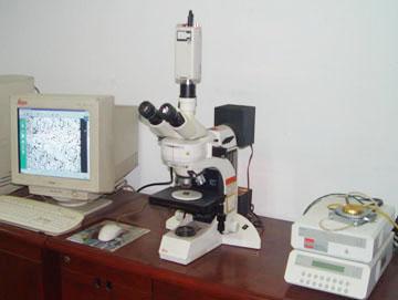 高温金相显微镜系统